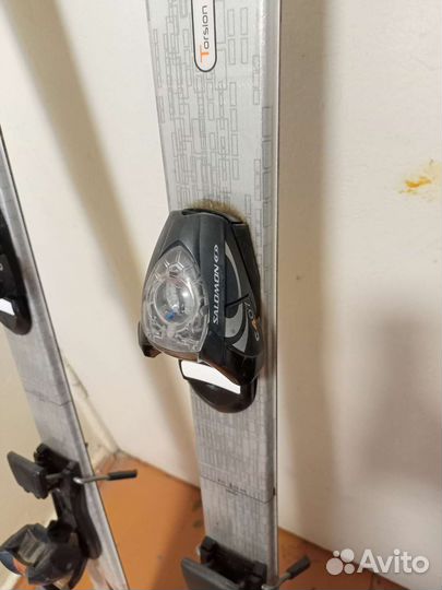 Горные лыжи