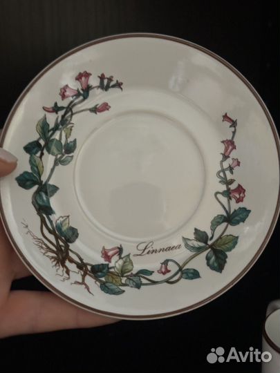 Чашка для эспрессо Villeroy&Boch botanica