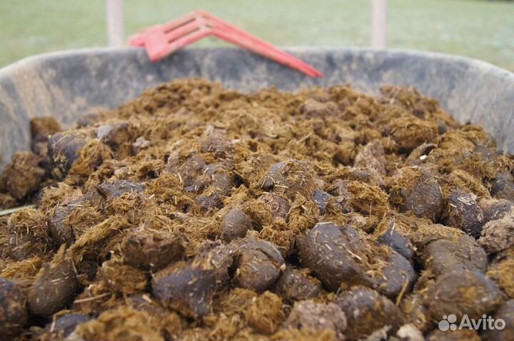 Навоз коровий. Удобрение. Чернозем/Перегной