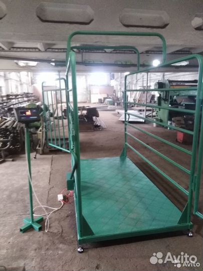 Весы для крс, Телят, Коров