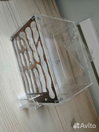 Муравьиная ферма без муравьев