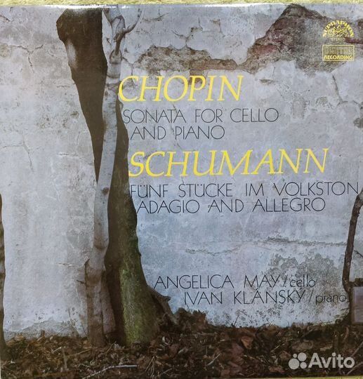 Frederic Chopin &Robert Shuman
