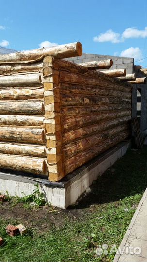 Срубы для бань и домов