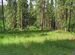 Фото объявления