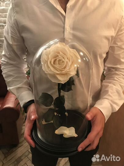 Роза в колбе