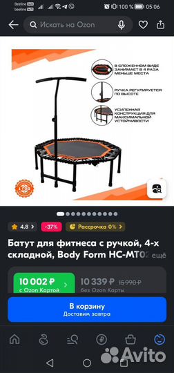 Батут спортивный