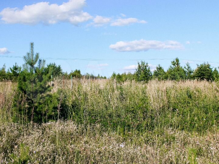 Участок 10 сот. (ИЖС)