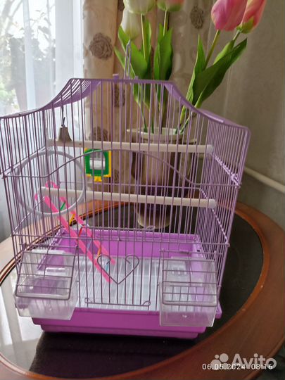 Клетка для попугая
