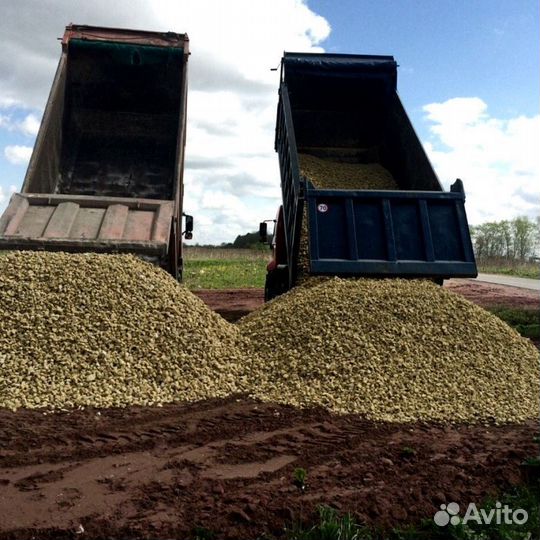 Бой асфальта