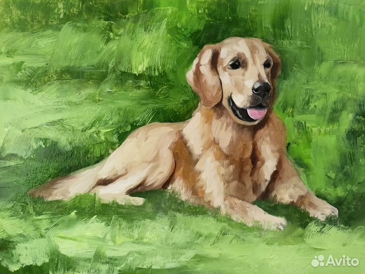 Собака. Картина маслом. Ретривер