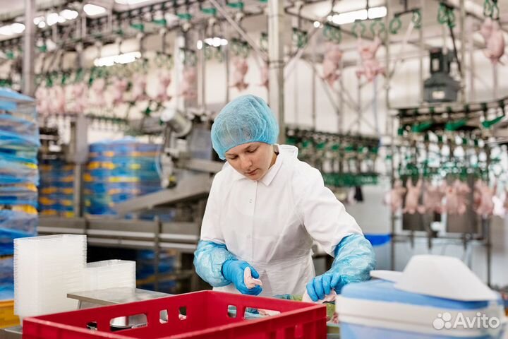 Упаковщик/ца на прицефабрику/село Льва Толстого