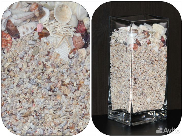 Декор / ракушки, кораллы, морские звезды / 1,7 л