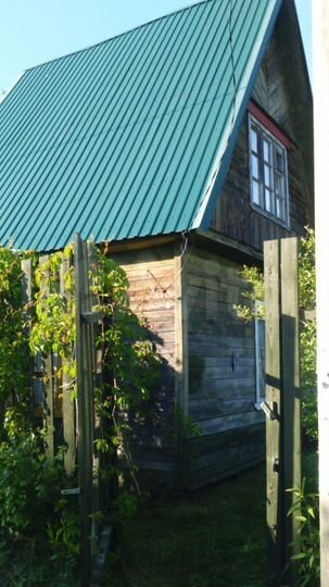 Поселок разлив курортный район. Снт бытовик. Пермский край дача на берегу реки сылва. Снт берег боровский район. Снт берег участки.