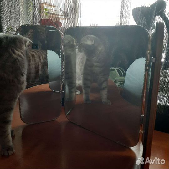 Трельяж комодный