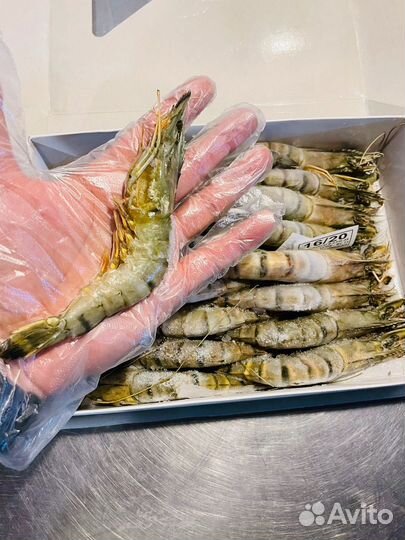 Тигровые креветки Большие