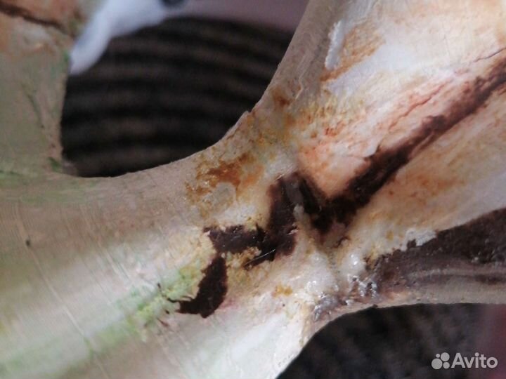 Маска Продажа/Обмен. Читать описание