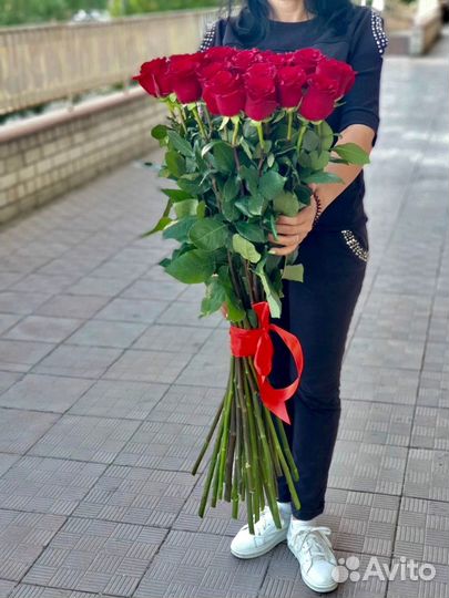 Розы гиганты