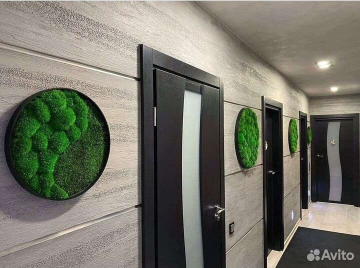 Мох стабилизированный фитокартина фитостена панно