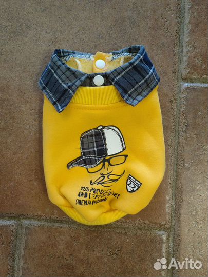 Одежда для собак мелких пород