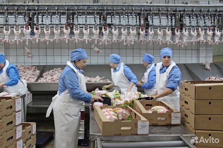 Работа для мужчин и женщин.Оператор линии товаров