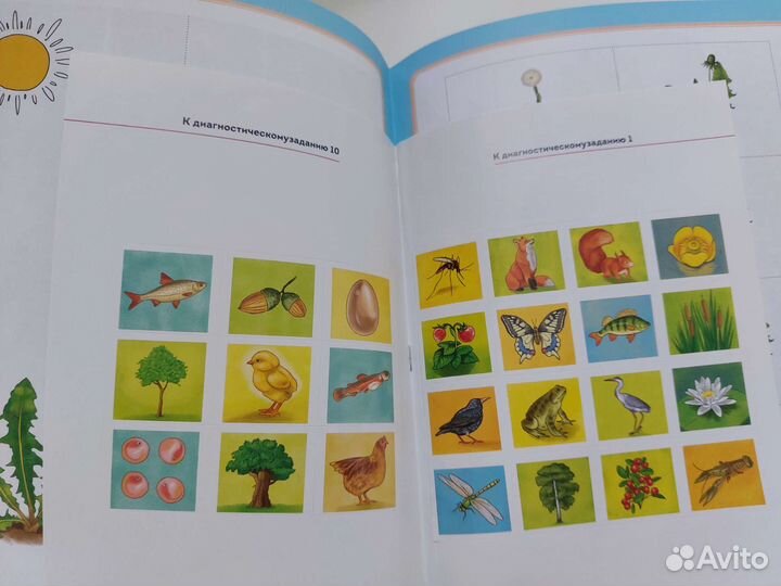 Добро пожаловать в экологию для 5-6 лет