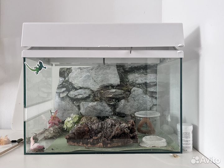 Террариум для рептилий