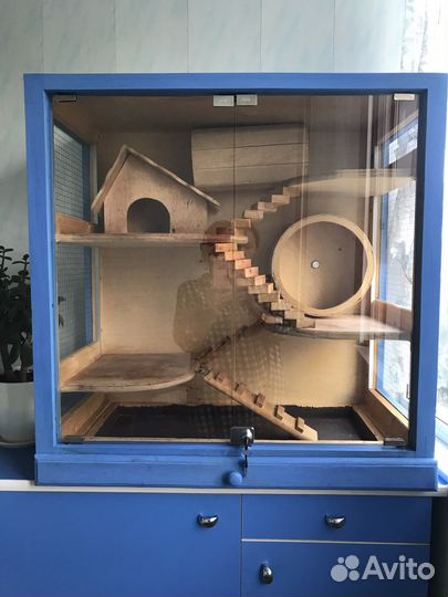 Клетка-витрина