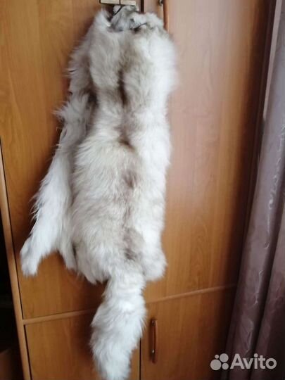 Меховые воротники