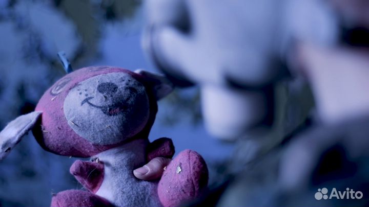 Видеооператор, Монтажер, Аэросъемка