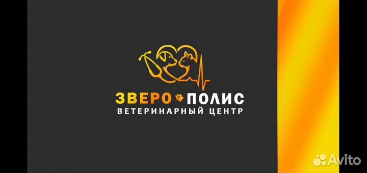 Помощник/Ассистент ветеринарного врача