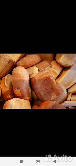 Хлеб для корма животных