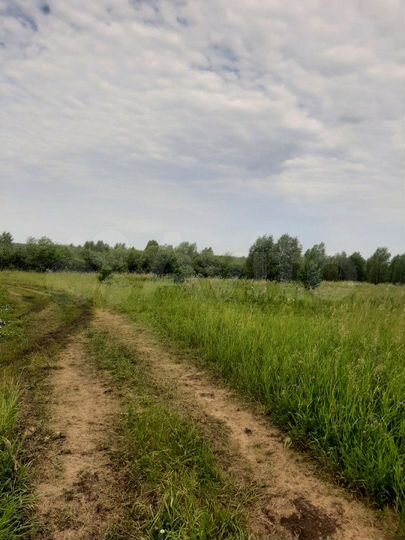 Участок 5 га (СНТ, ДНП)