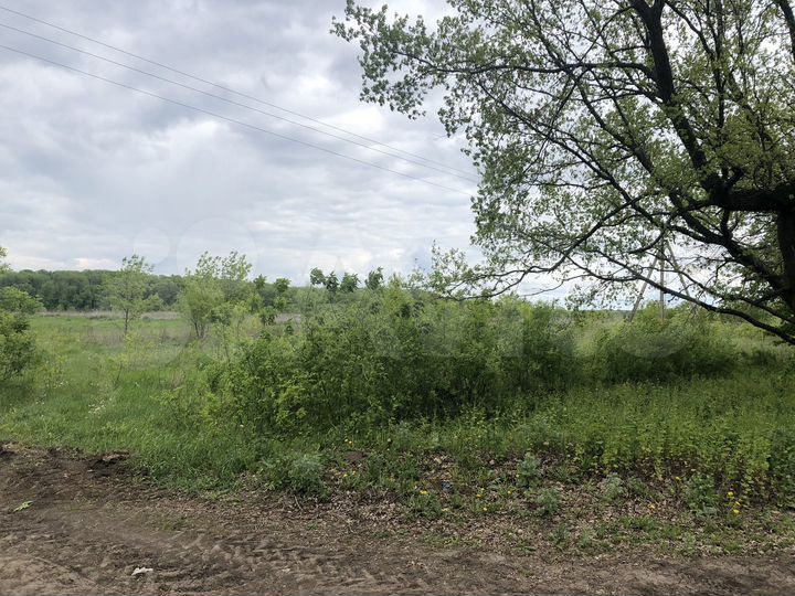 Участок 4,5 га (СНТ, ДНП)