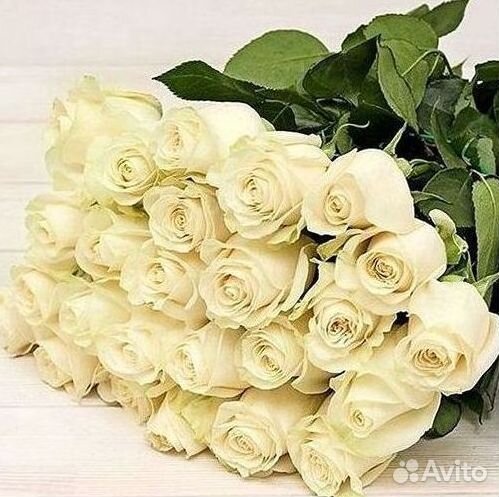 Высокие розы Букеты с доставкой