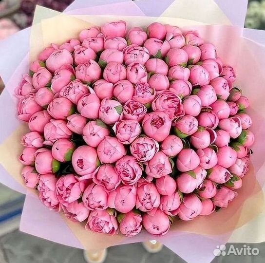 Пионы Цветы Доставка