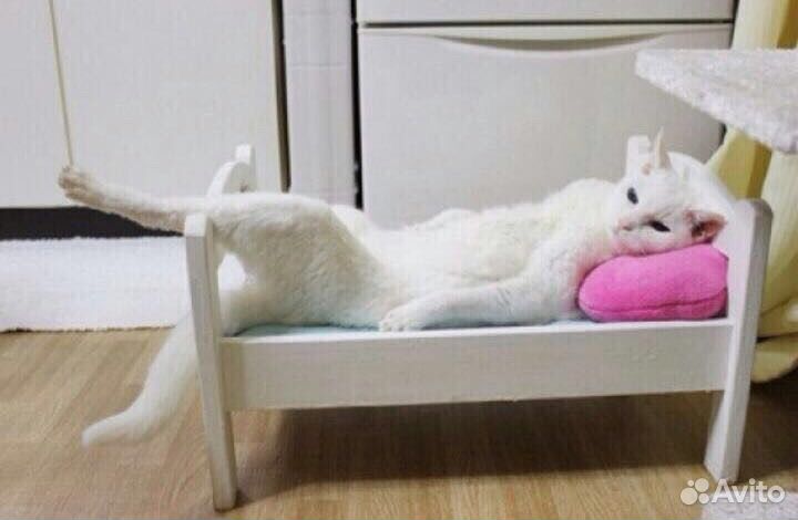 Стрижка кошек и собак