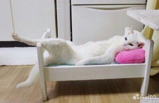 Стрижка кошек и собак