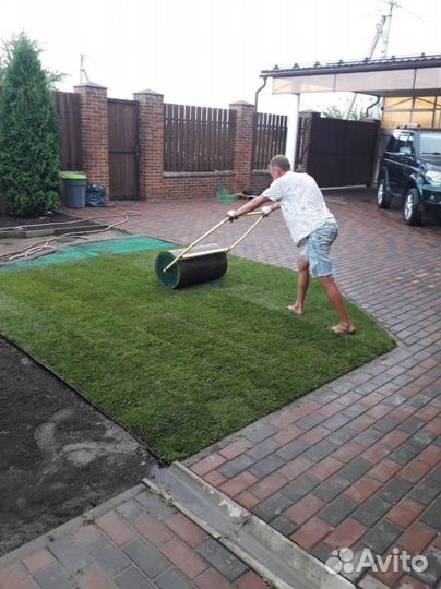 Рулонный газон