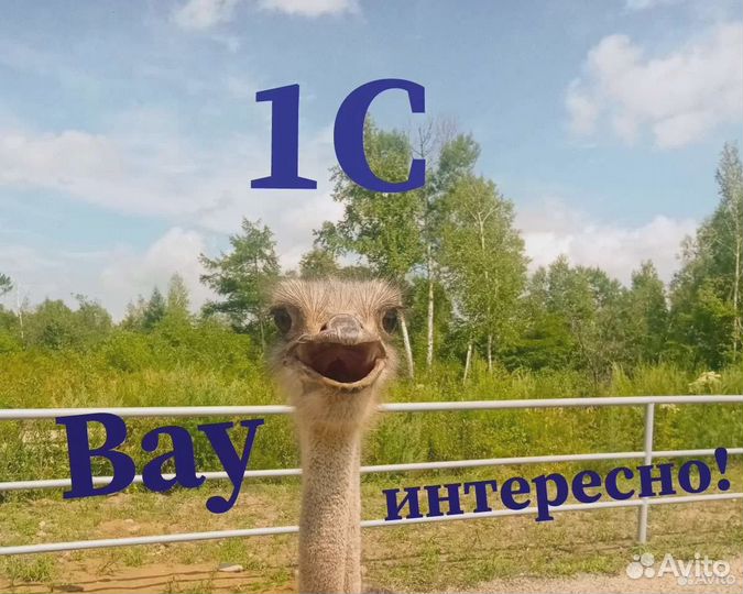 Программист 1С. Настройка. Обновление