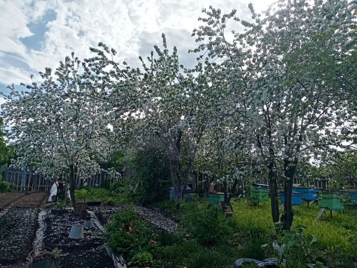 Дом 50 м² на участке 40 сот.