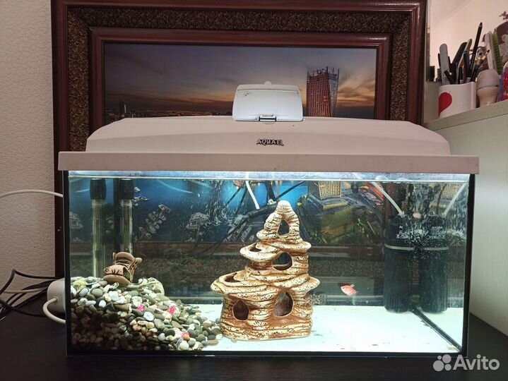 Аквариум