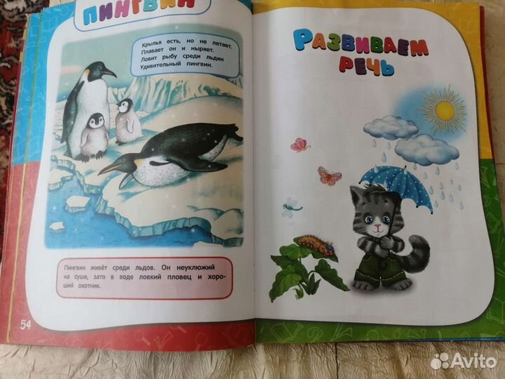 Годовой курс занятий 1 2