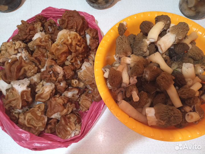 Свежие грибы.А так же маринованные и сушёные