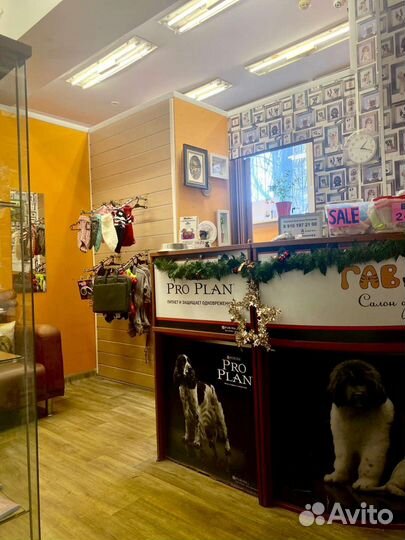 Стрижка собак и кошек. Мойка для крупных собак