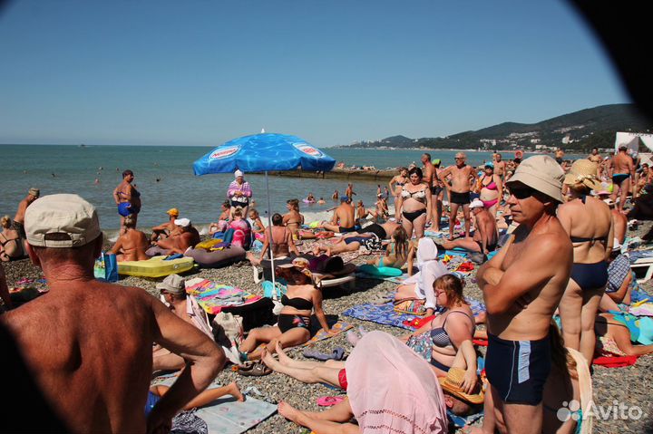 Готовый бизнес-Точка на пляже в Адлере, сезон 2024