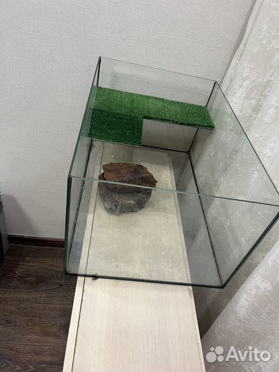 Аквариум, террариум