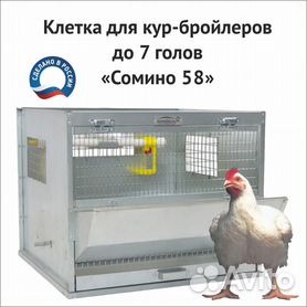 Виды кормушек для кур, бройлеров и другой домашней птицы - irhidey.ru