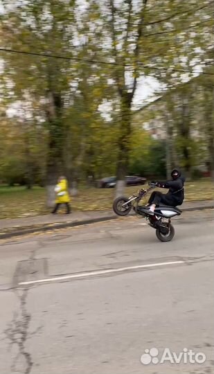 Stels arrow benelli 50