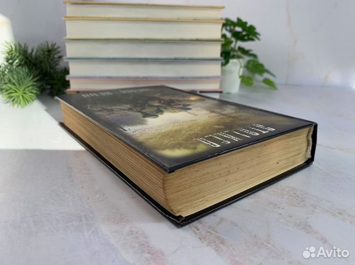 Чистое небо - сборник рассказов. Сталкер