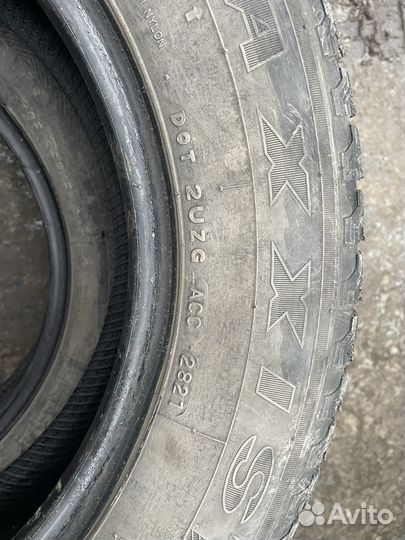Maxxis SP3 Premitra Ice 195/65 R15 91
